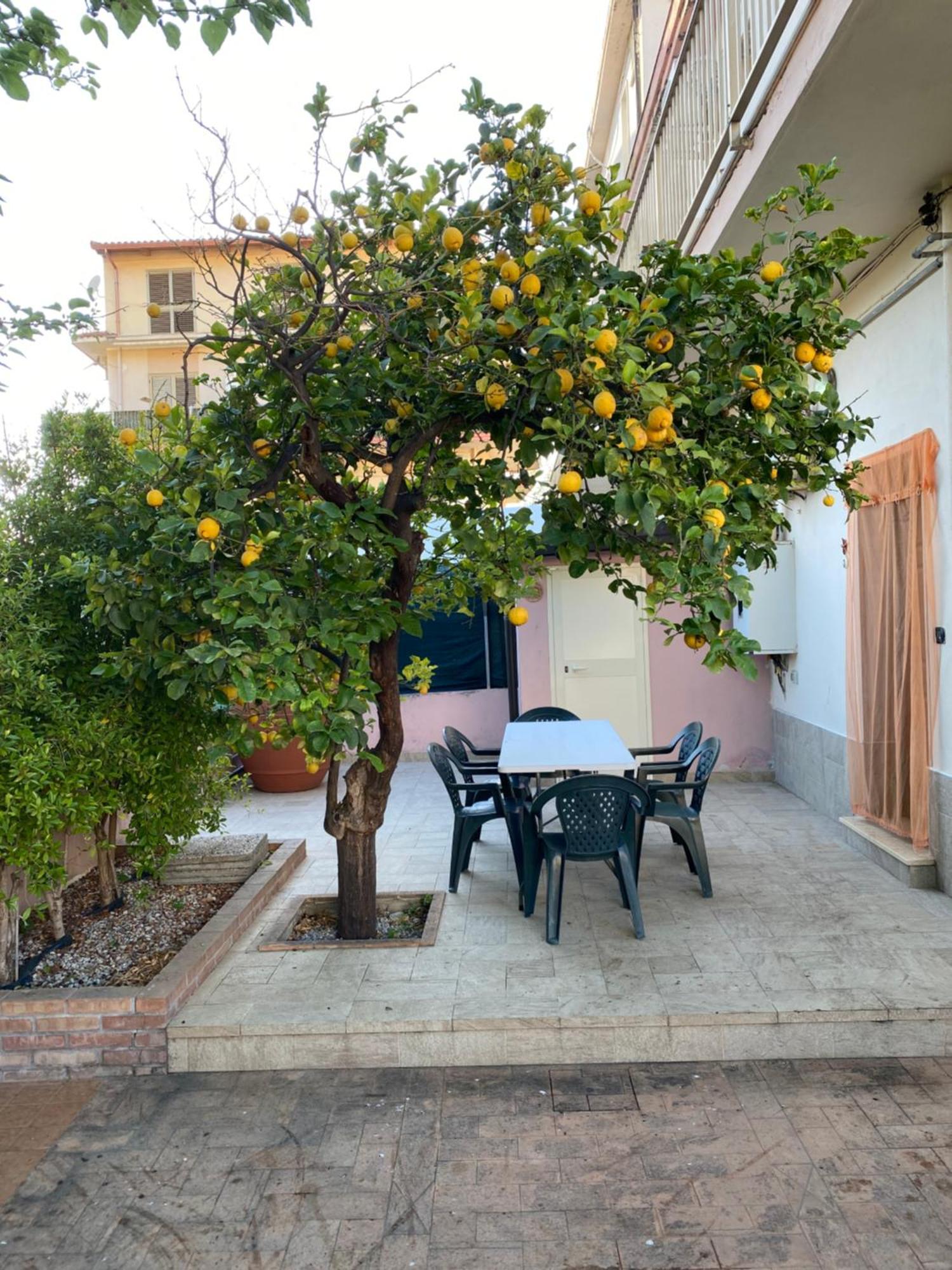 L'Albero Di Limoni Sul Mare Di Pizzo 빌라 외부 사진
