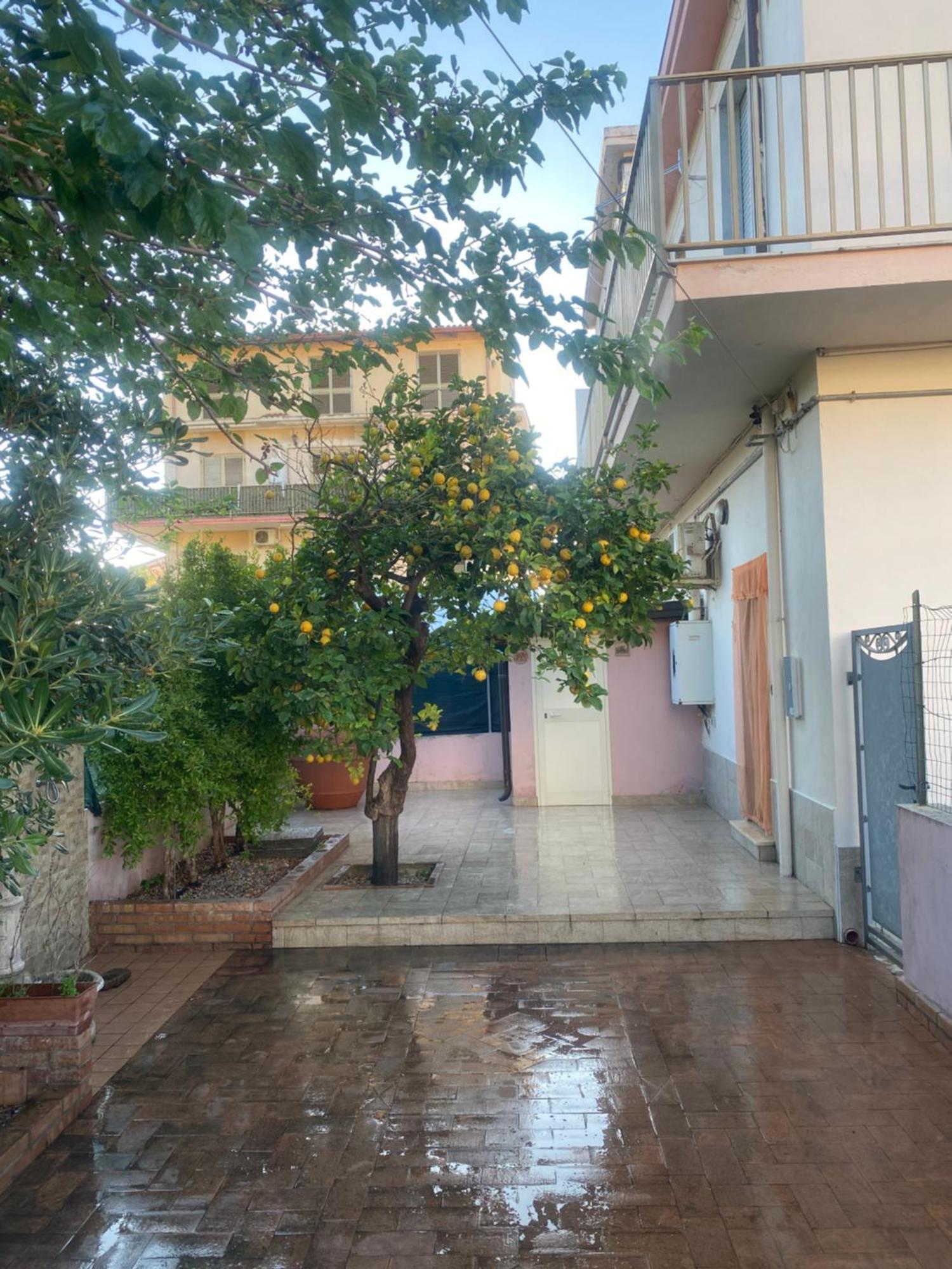 L'Albero Di Limoni Sul Mare Di Pizzo 빌라 외부 사진