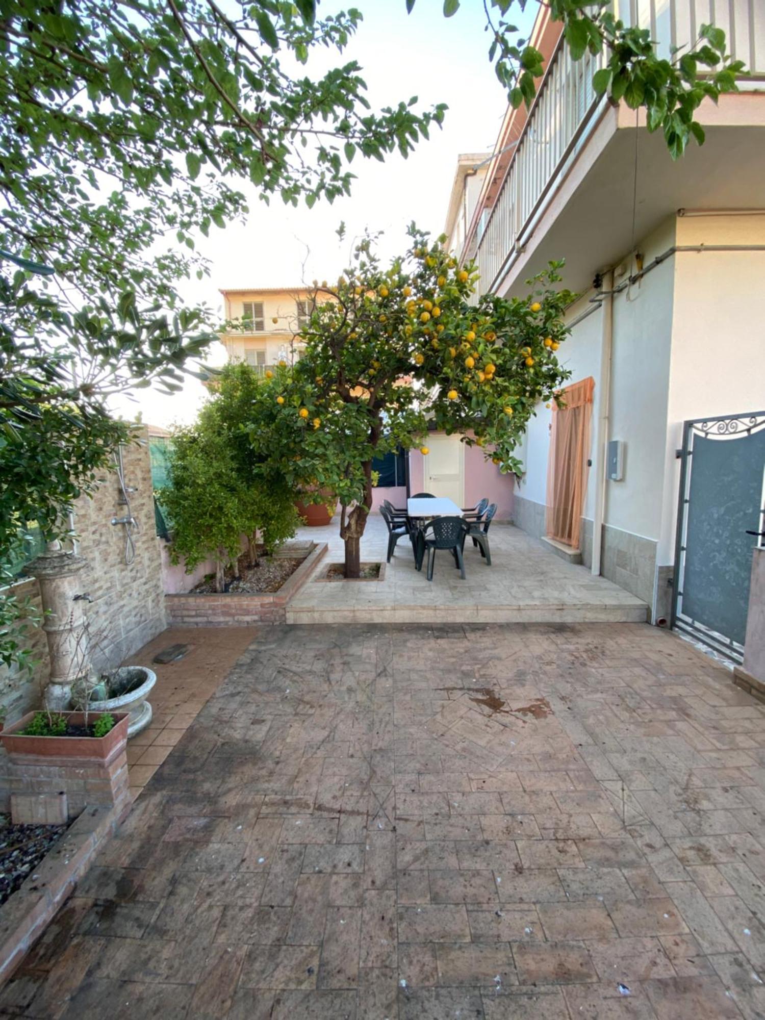 L'Albero Di Limoni Sul Mare Di Pizzo 빌라 외부 사진